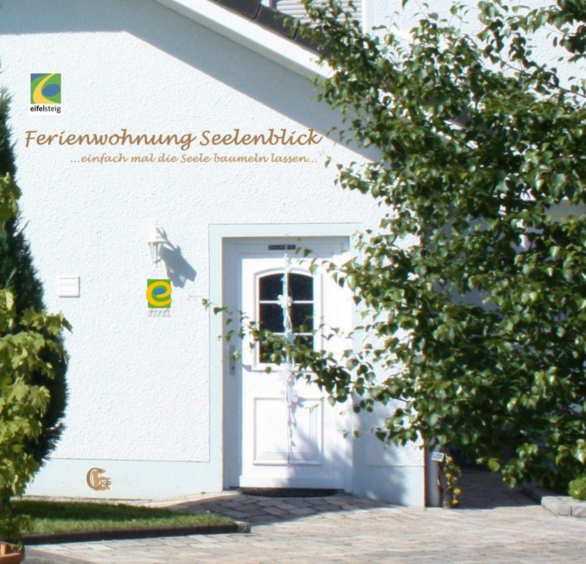 Gemuetliche Maisonette Wohnung Seelenblick Berndorf  外观 照片